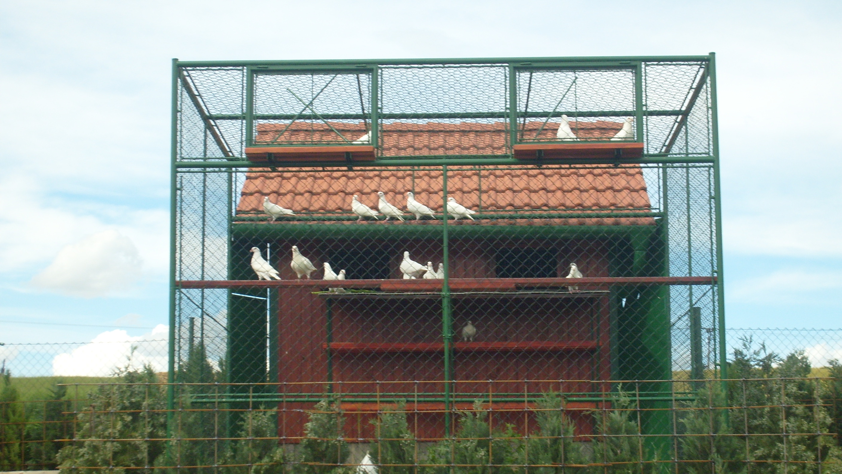 Snímek 030.jpg