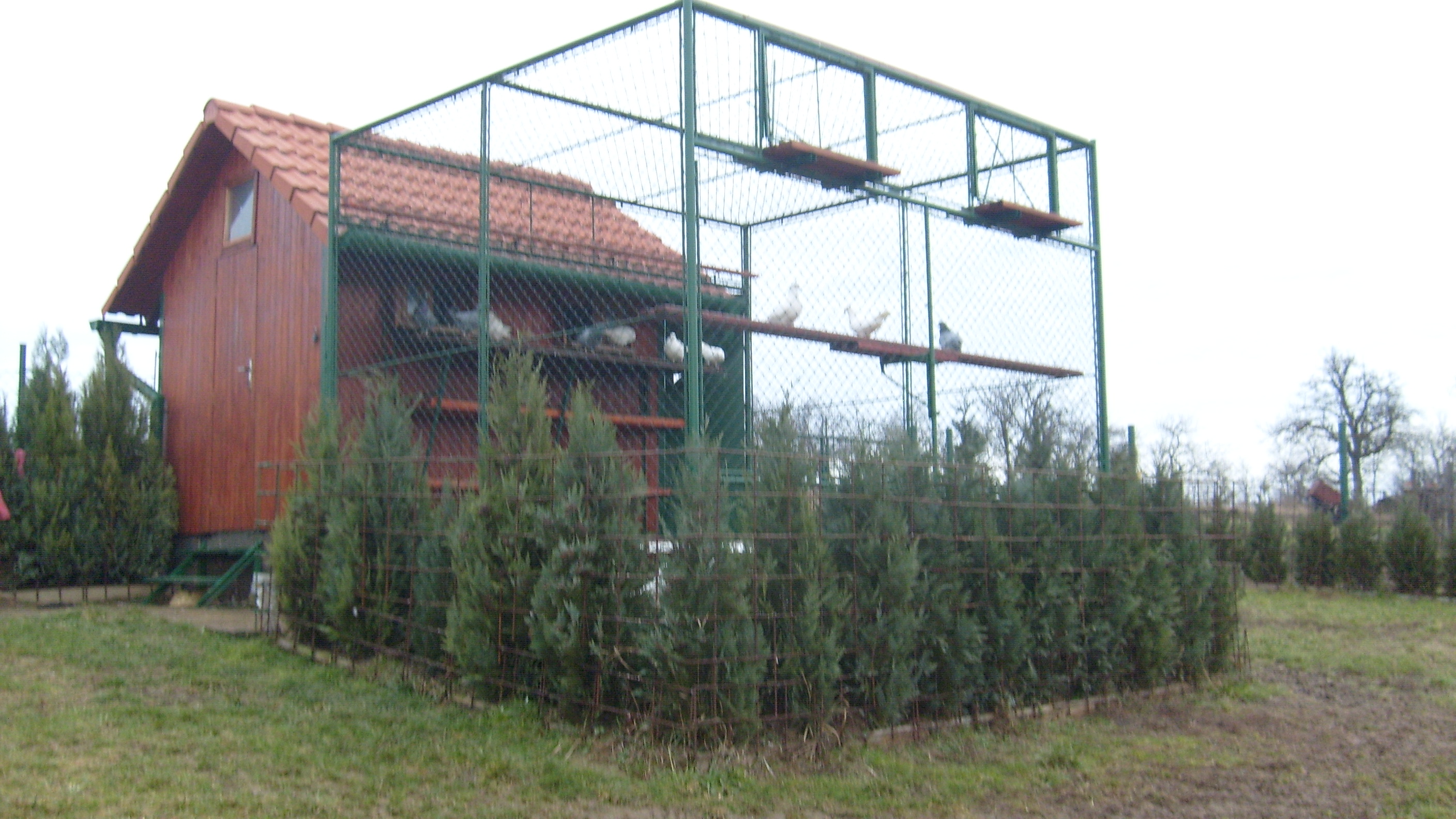 Snímek 041.jpg