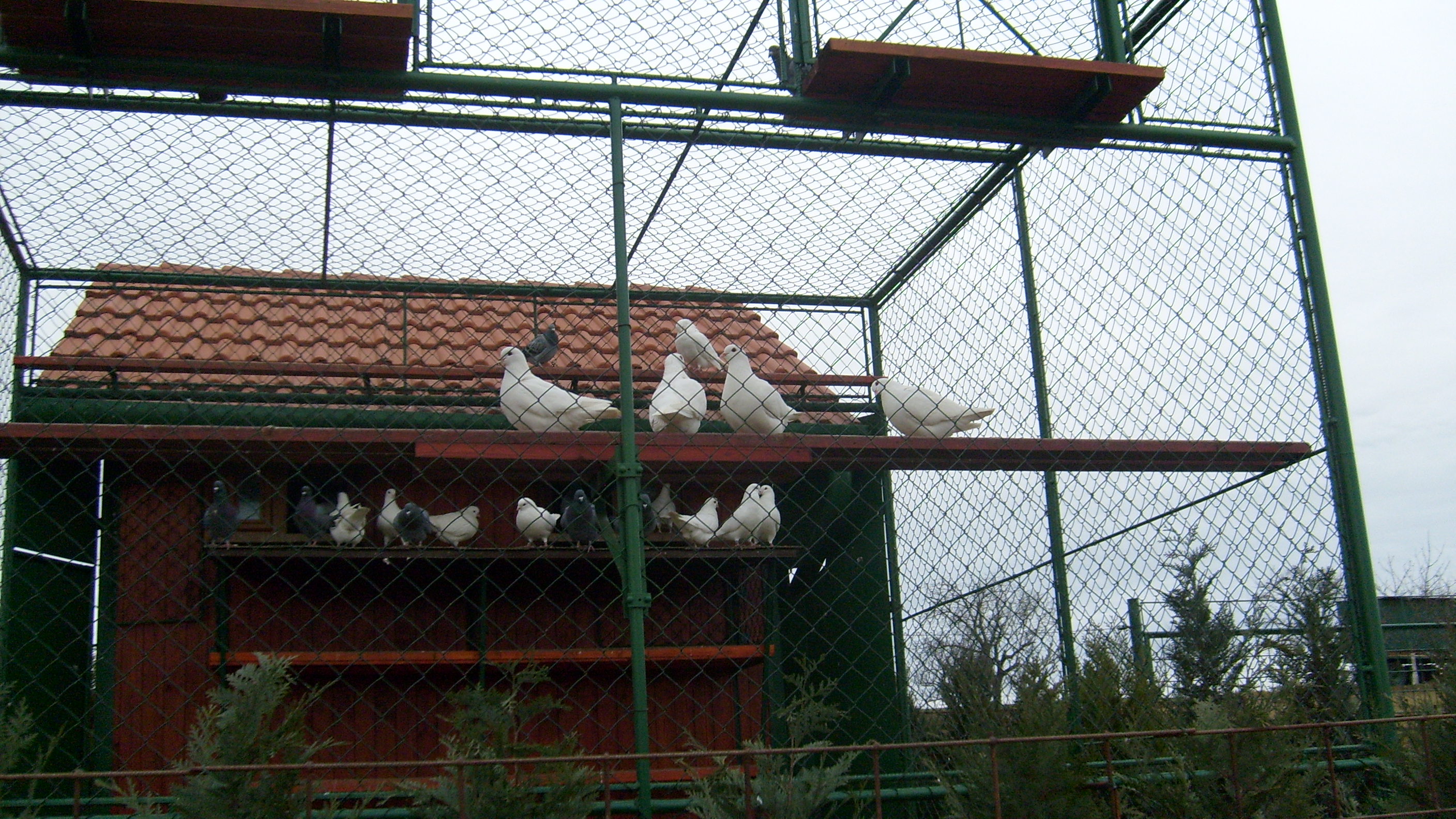 Snímek 046.jpg