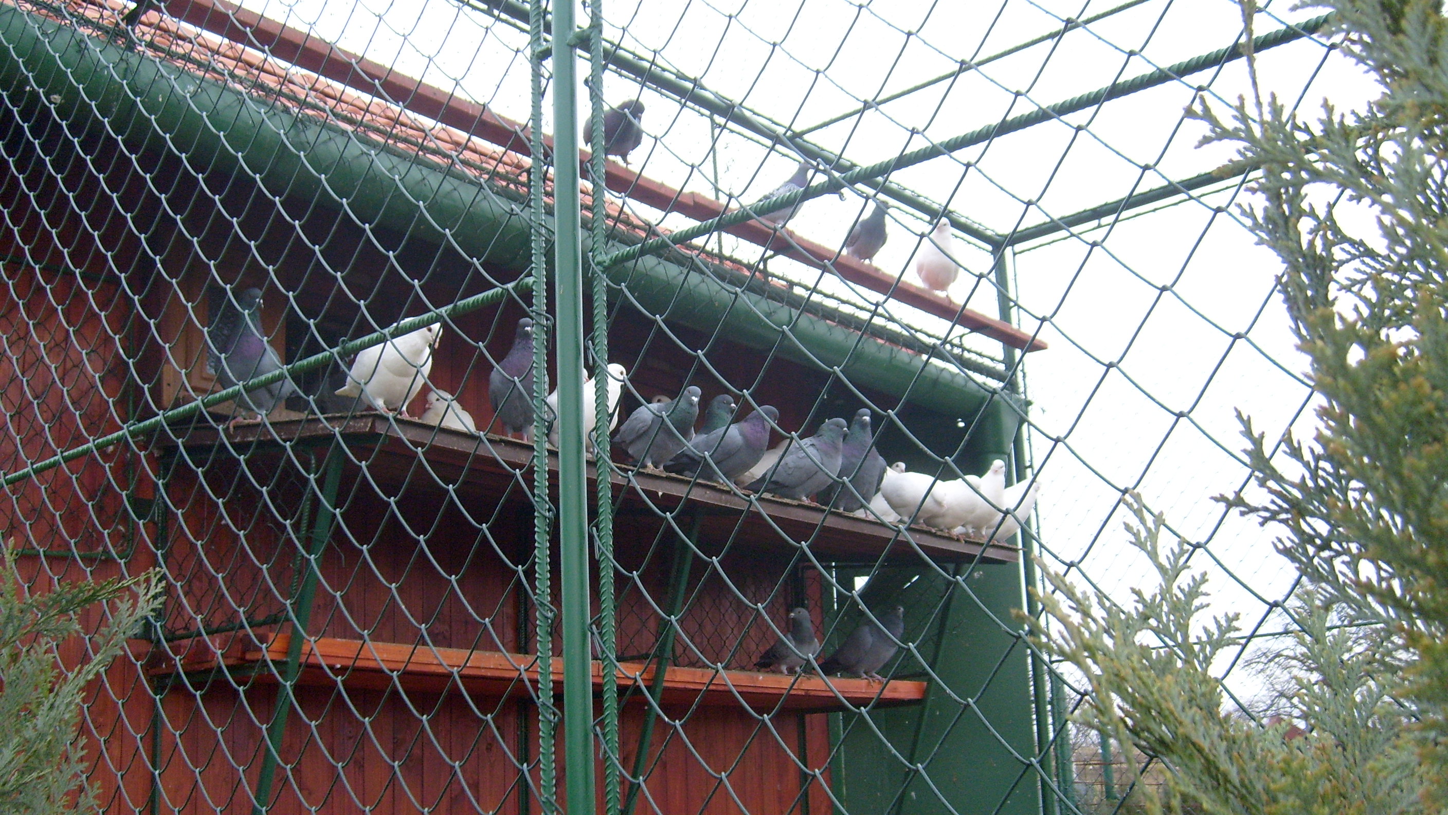 Snímek 042.jpg