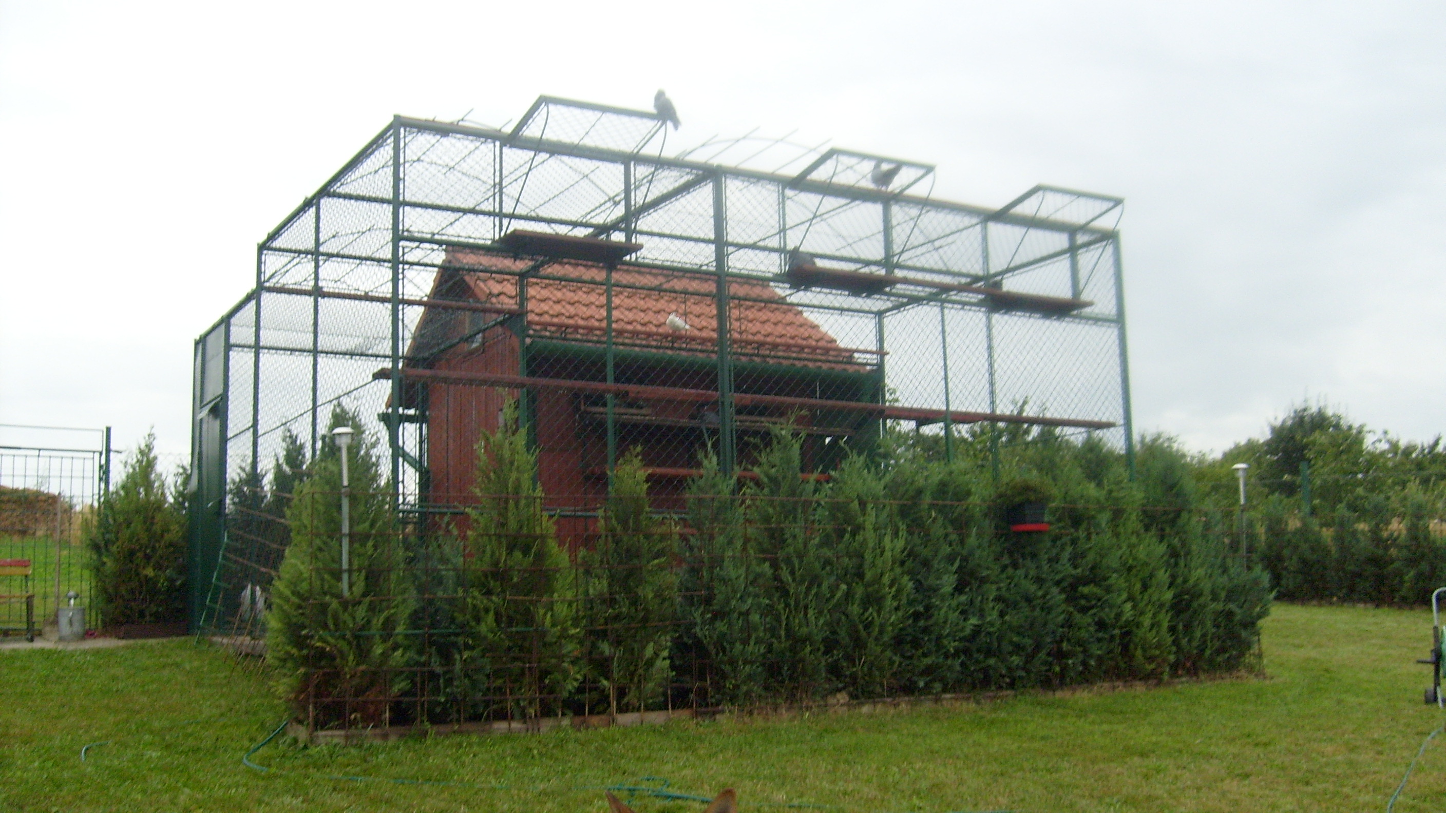 snimek-004