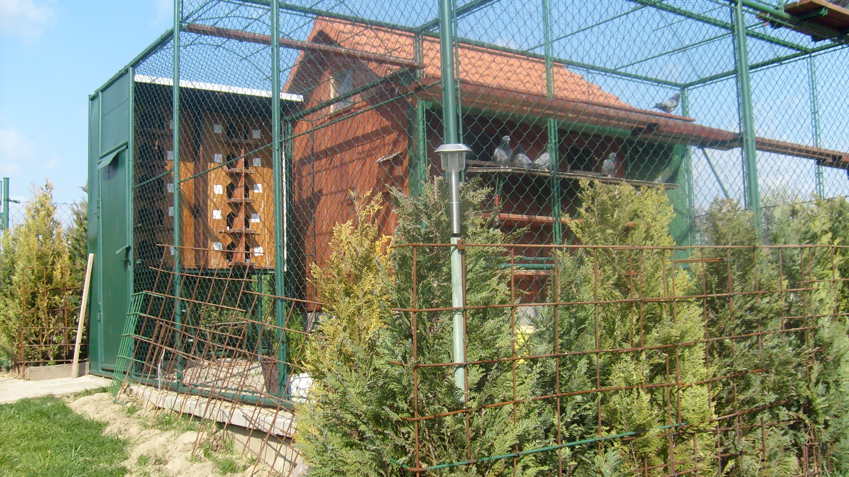 (35)Snímek 002