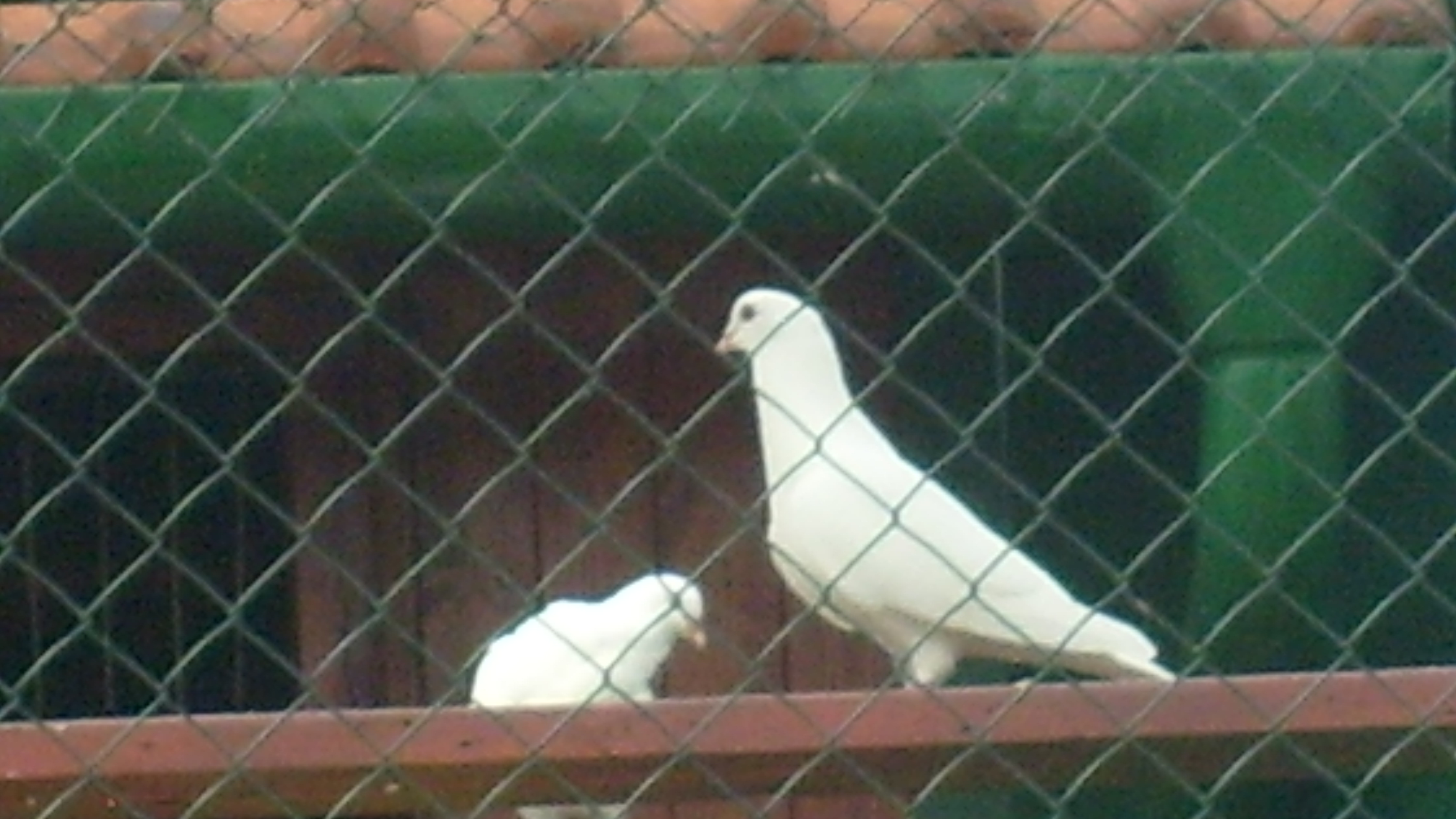 Snímek 031.jpg