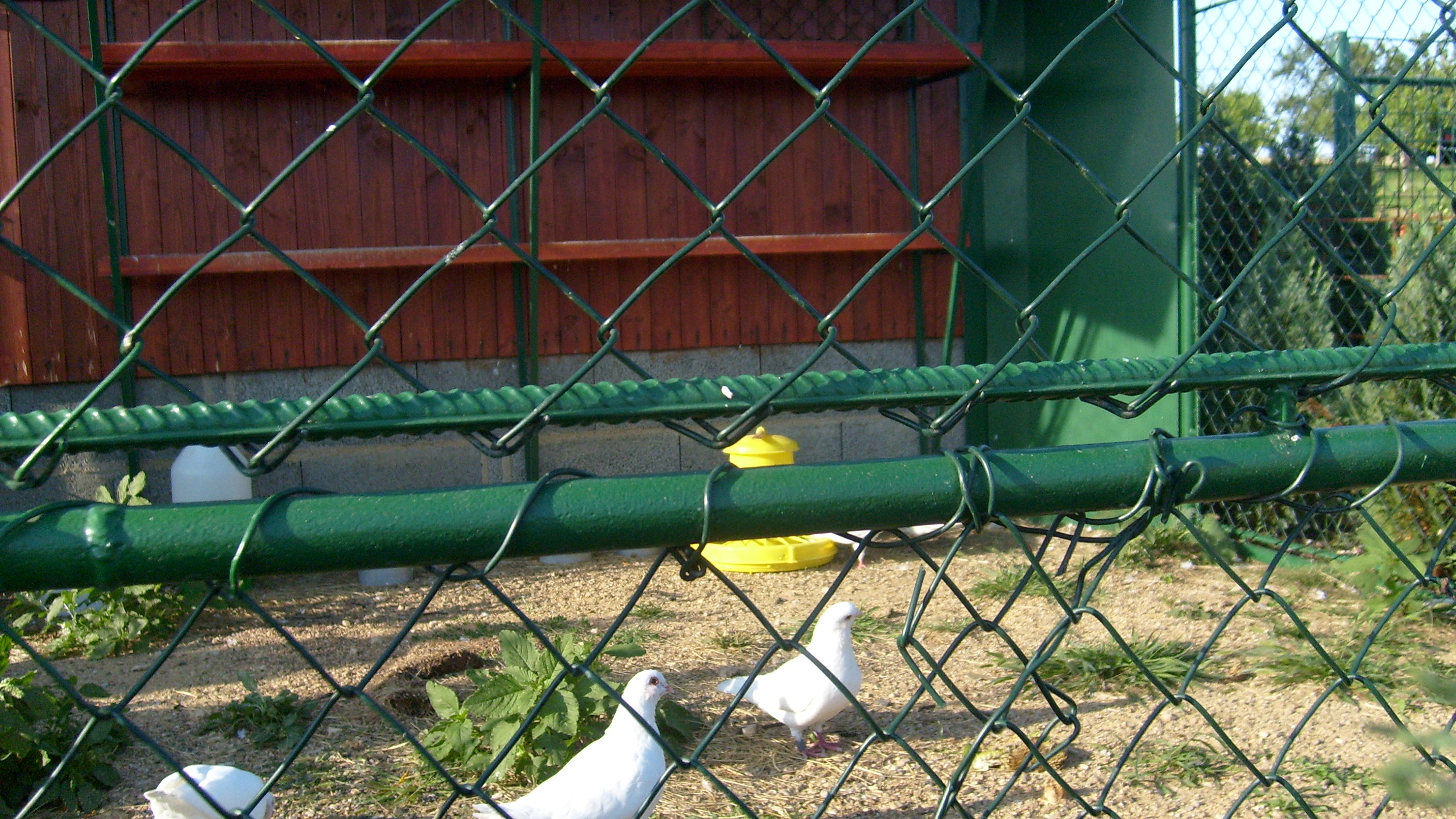 Snímek 036.jpg